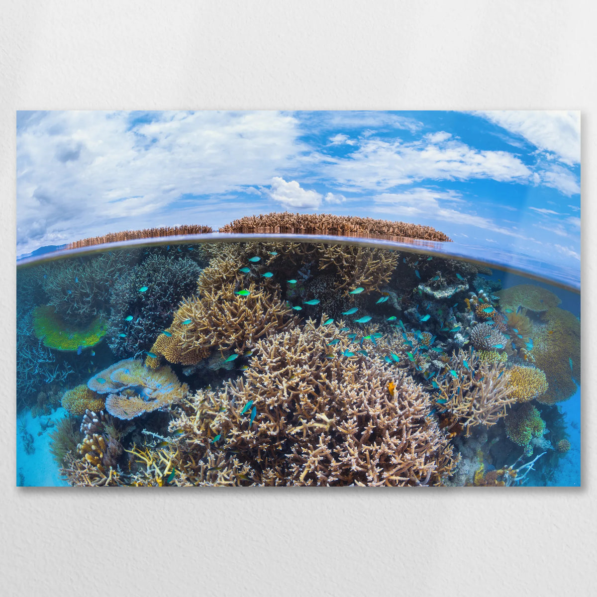 AL-075W050