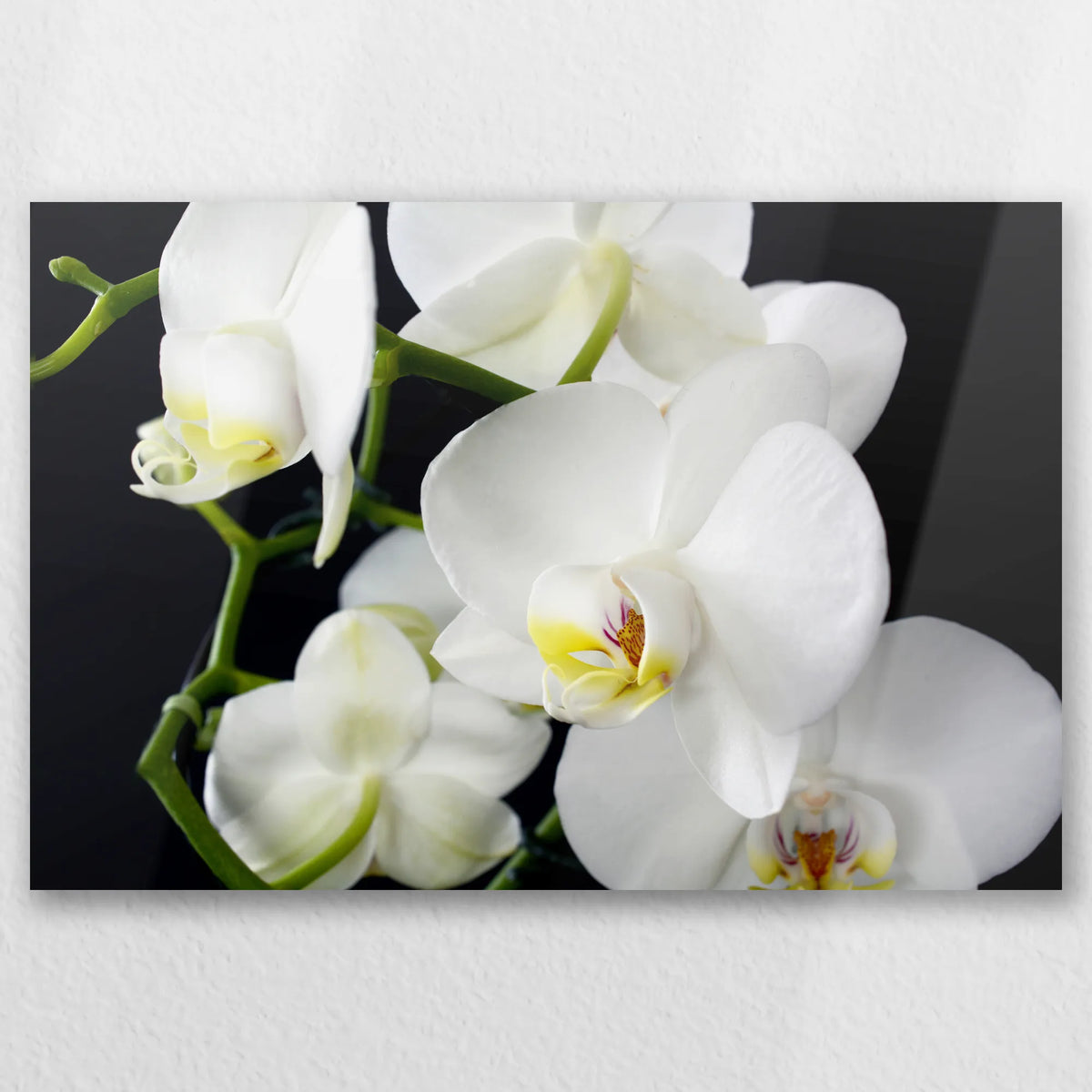 AL-060W040