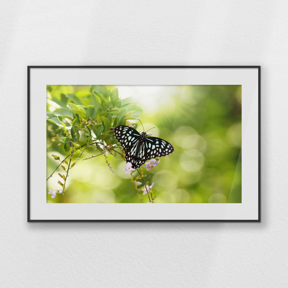 PBP093W062