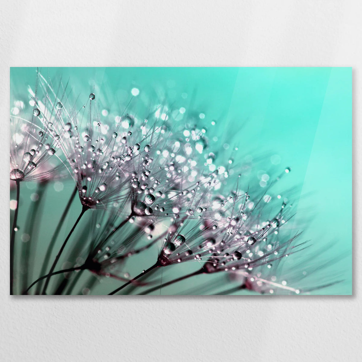 AC-075W050