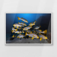 PW-093W062