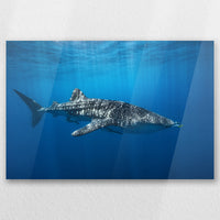 AC-060W040