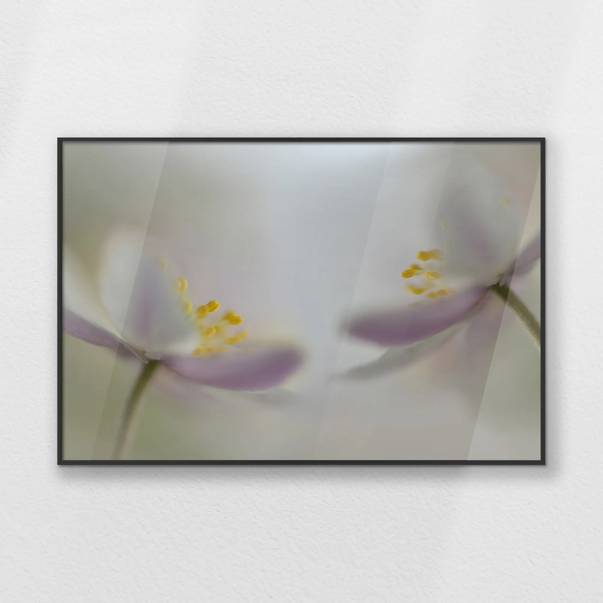 PB-093W062