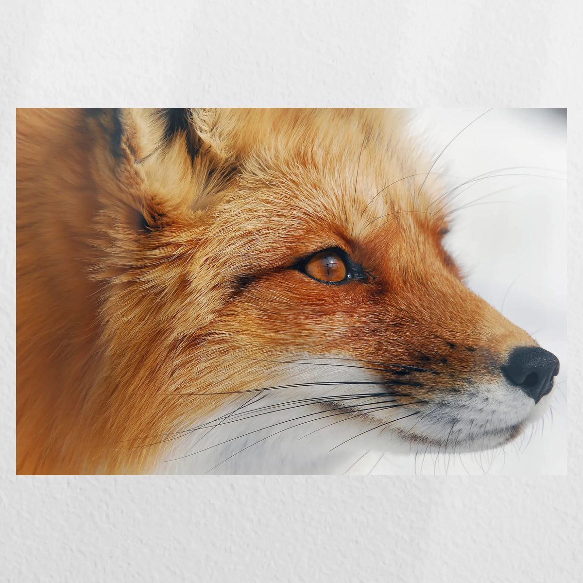 PO-060W040