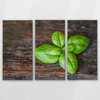 LW-120R080