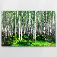 AC-075W050