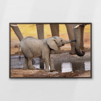 LWN120W080
