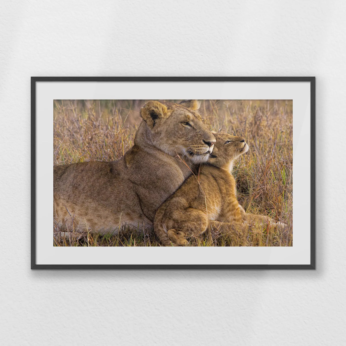 PKP100W070