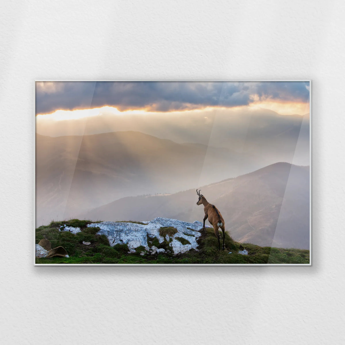 PS-120W080