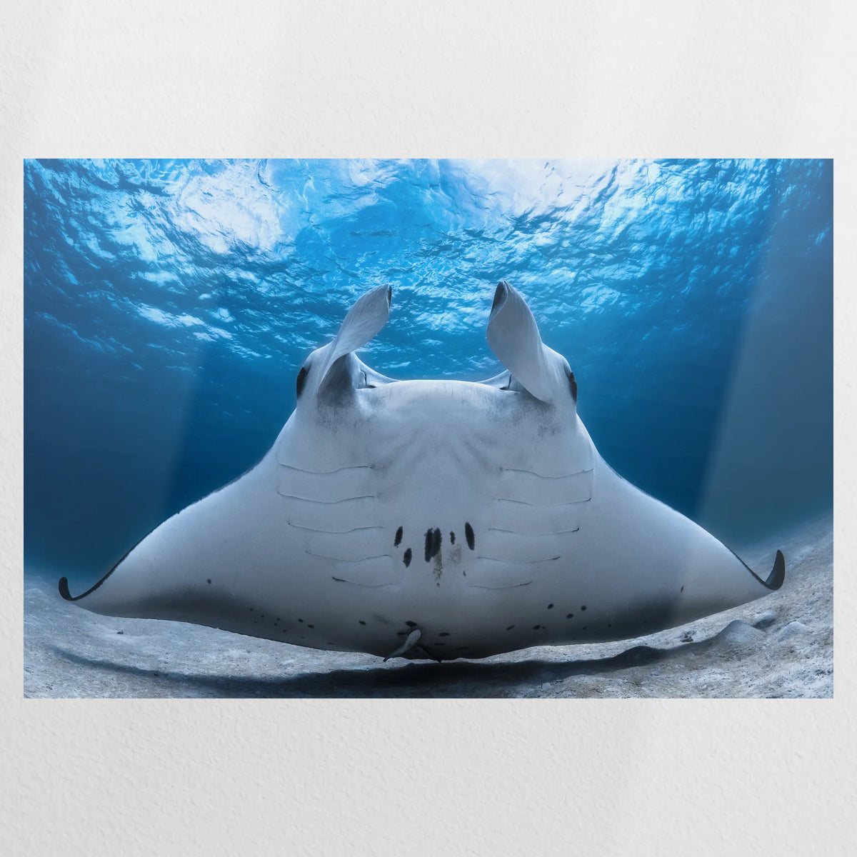 PO-075W050