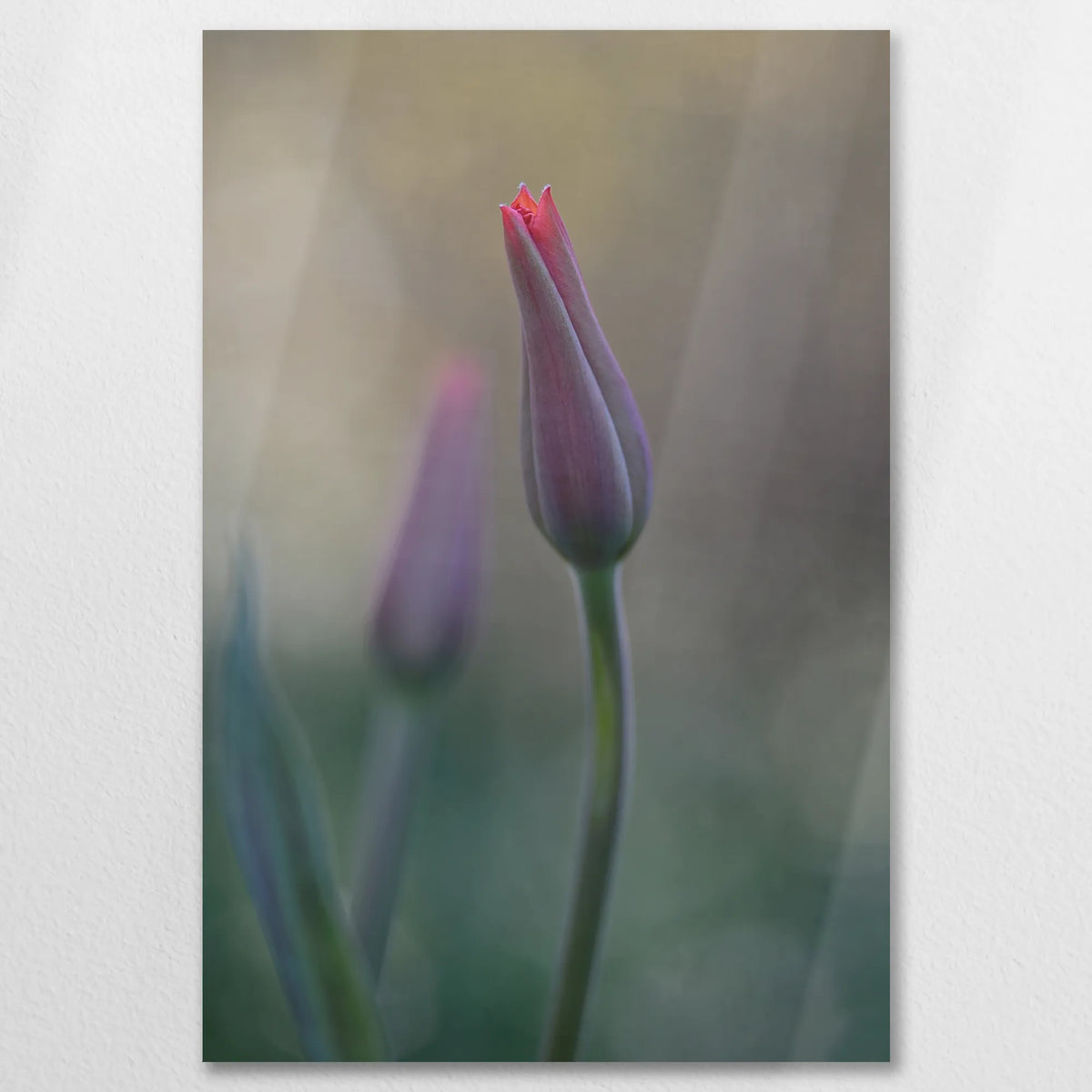 AL-060W090