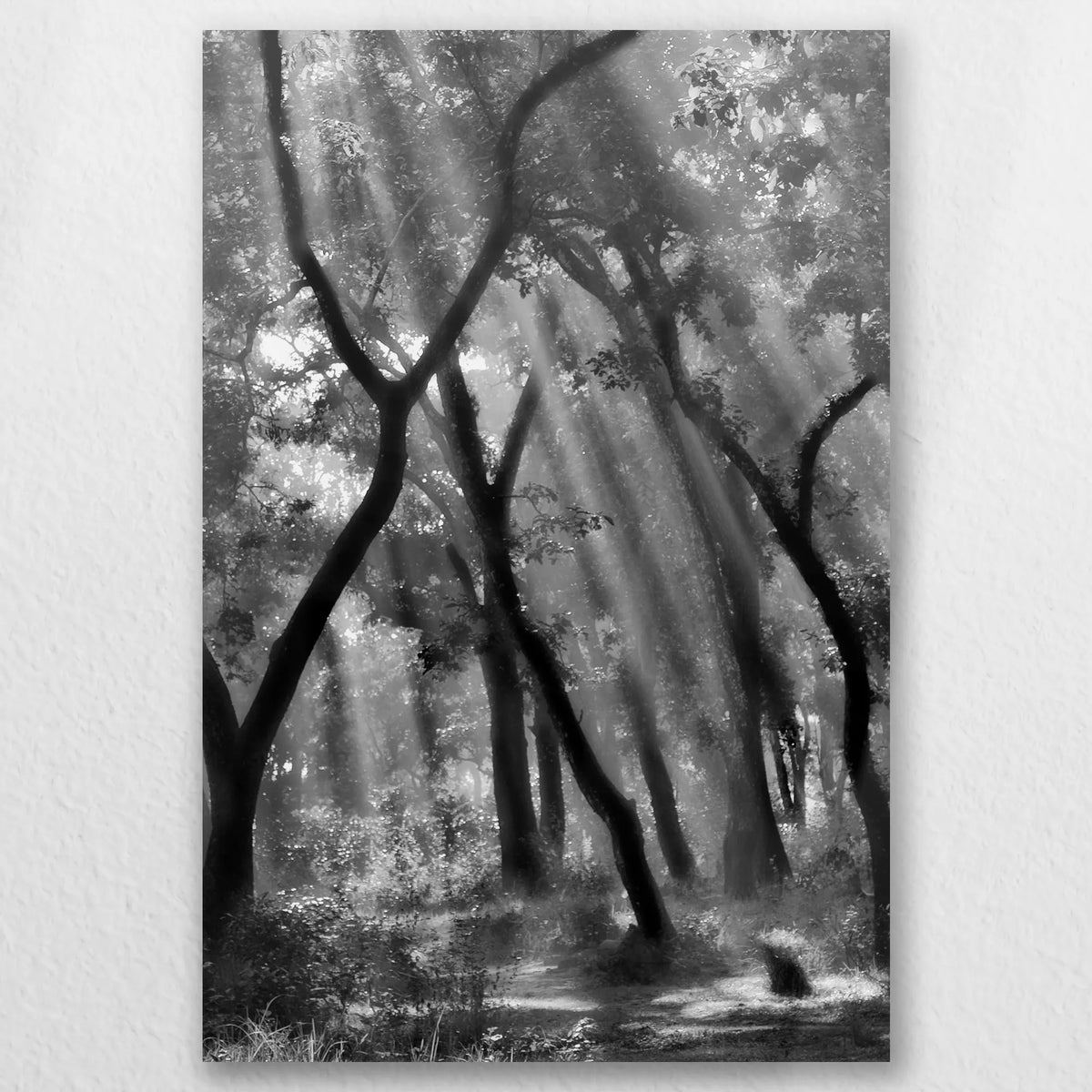 AL-030W045