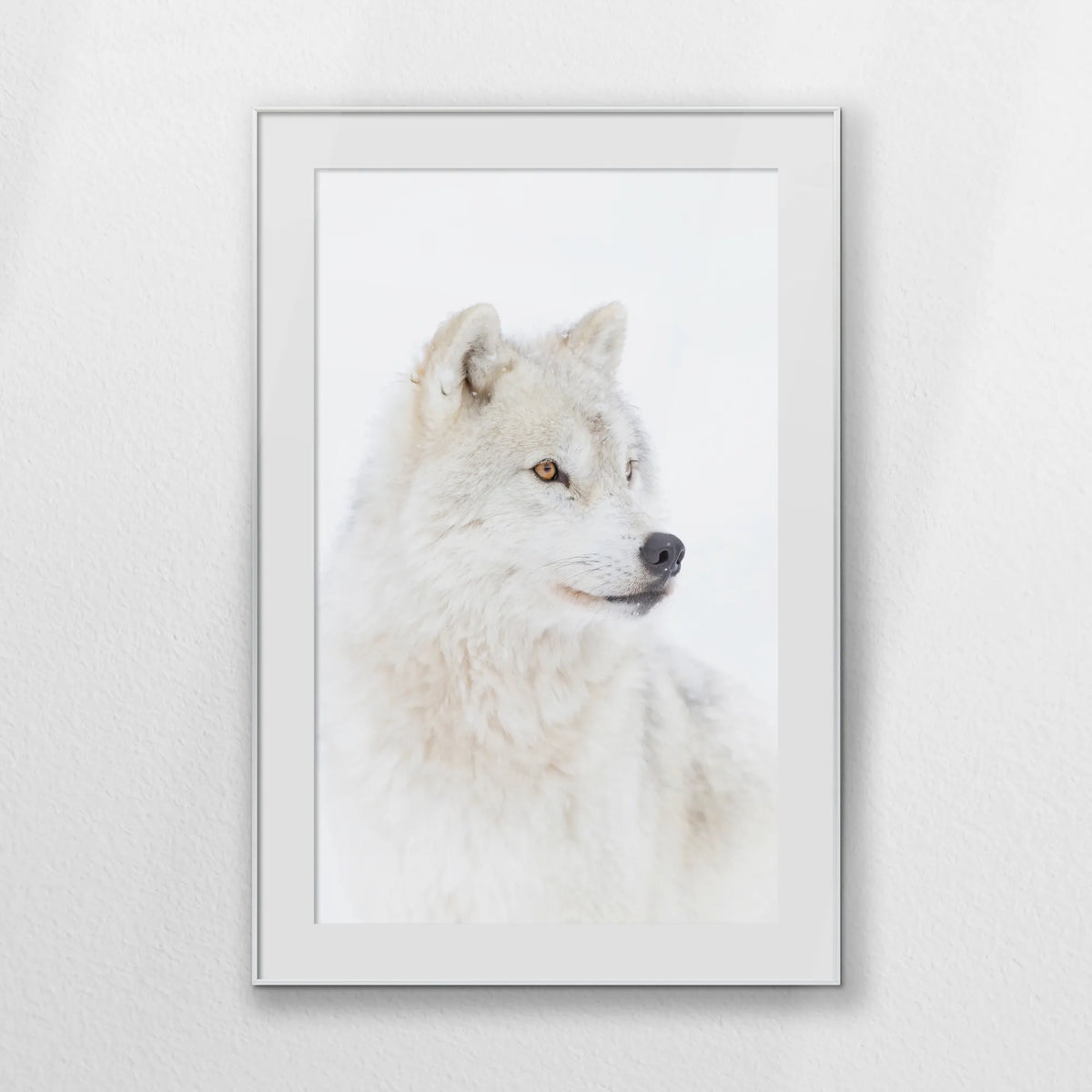 PSP080W120