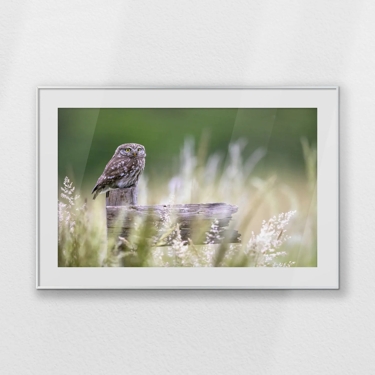 PSP100W070