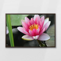 LWN100W070