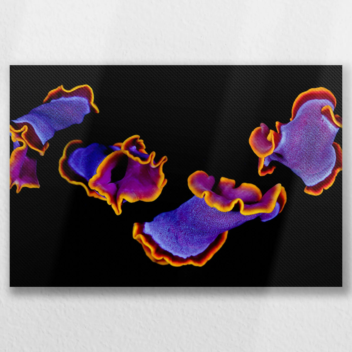 LW-030W020