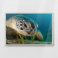 PN-100W070