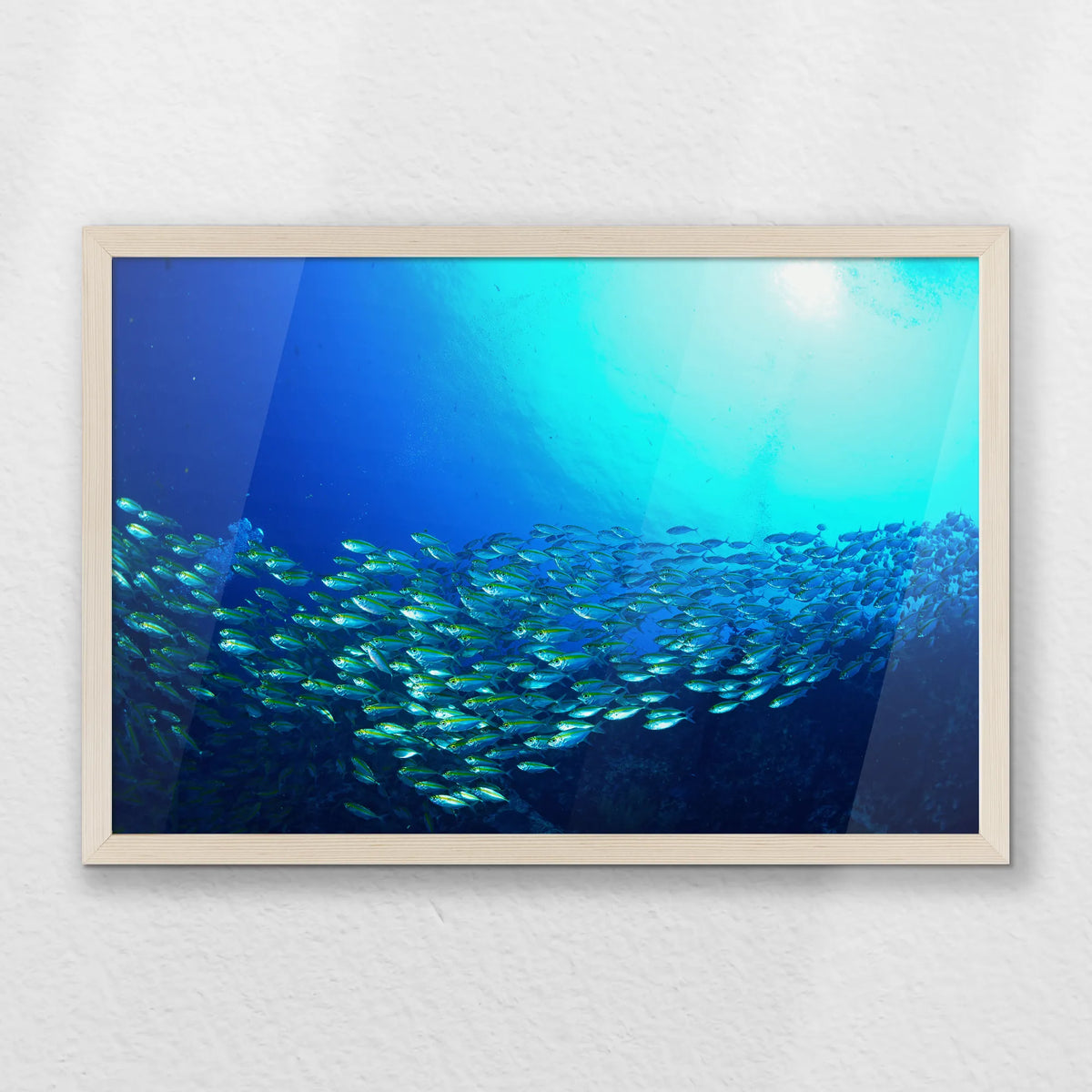 PN-060W040