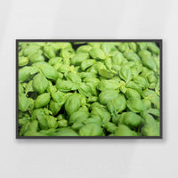 PK-100W070