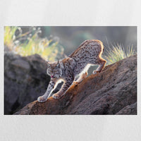 PO-045W030