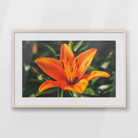 PNP093W062