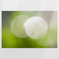 PO-045W030