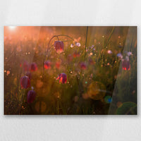 AC-030W020