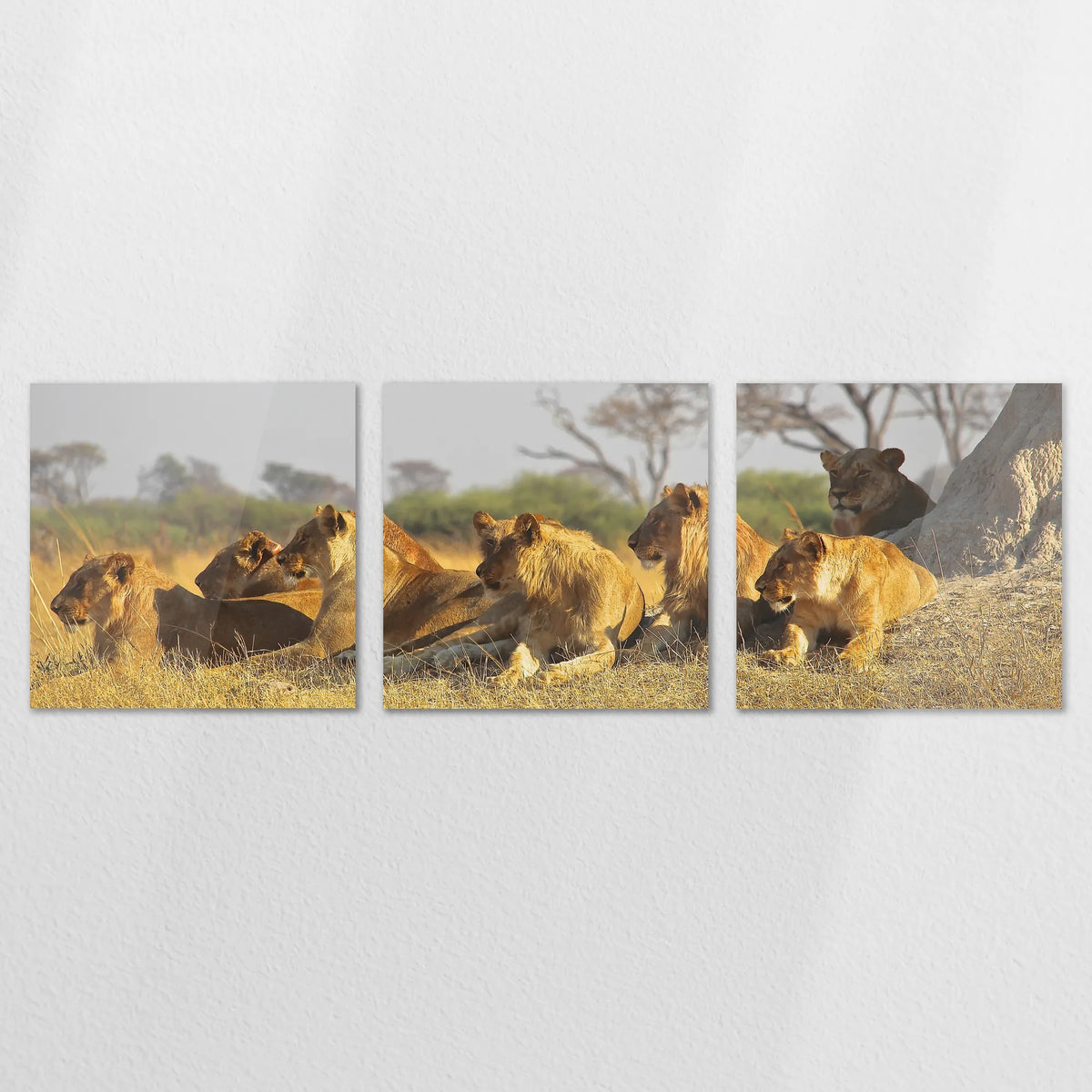 AC-210S070
