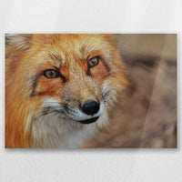 AC-030W020