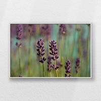 LWW120W080