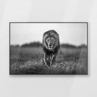 PB-120W080