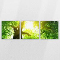 LW-240S080