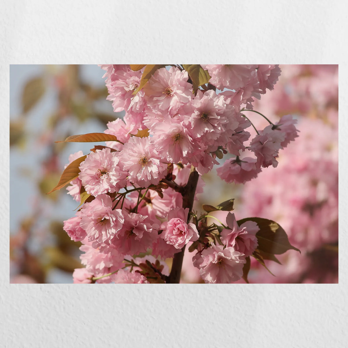 PO-045W030