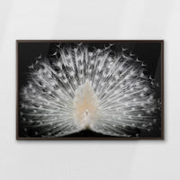LWN100W070