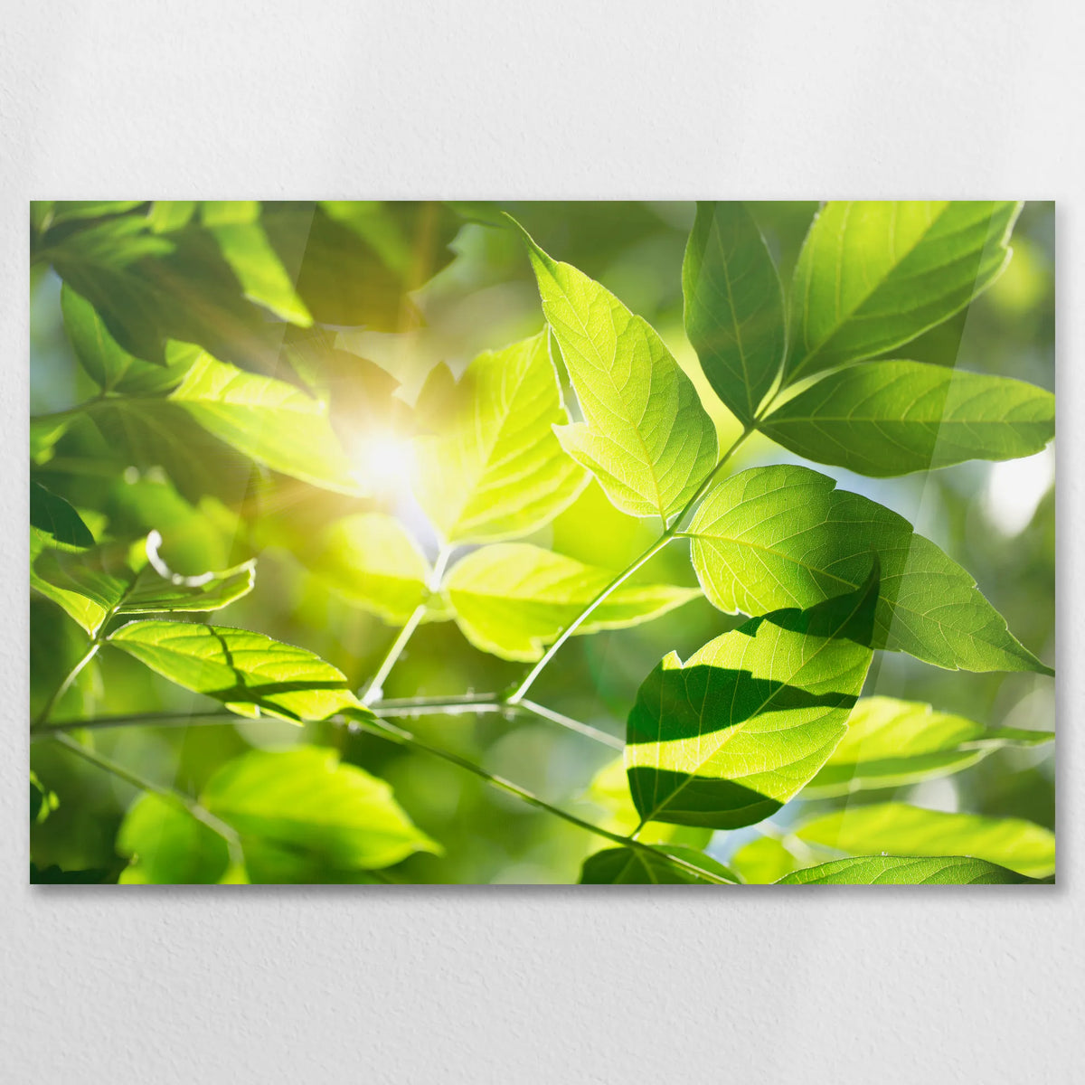 AC-090W060