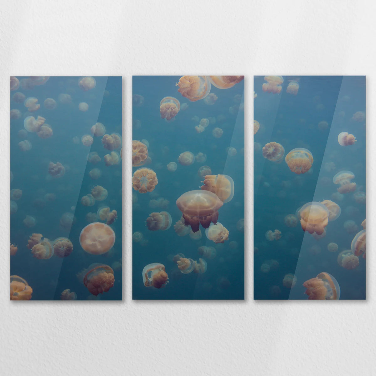 AC-120R080
