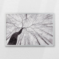 PS-060W040