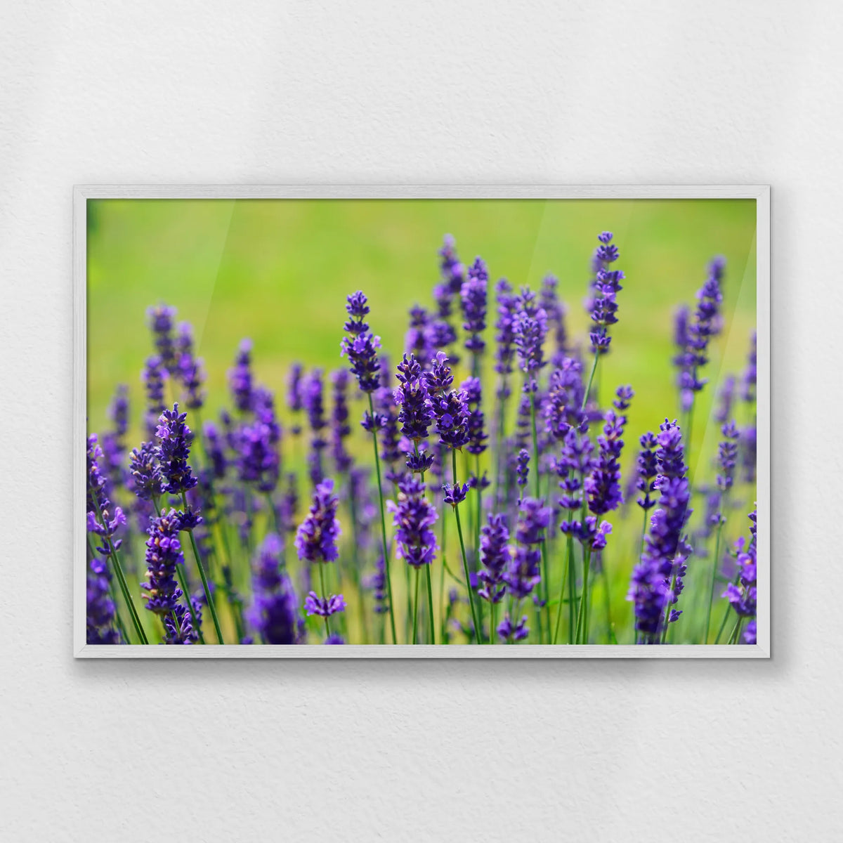 PW-093W062