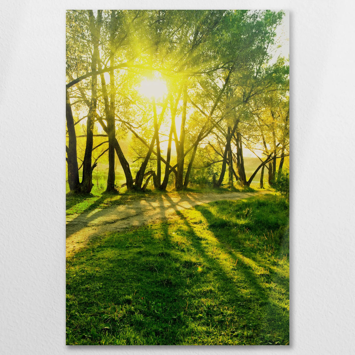 AL-080W120