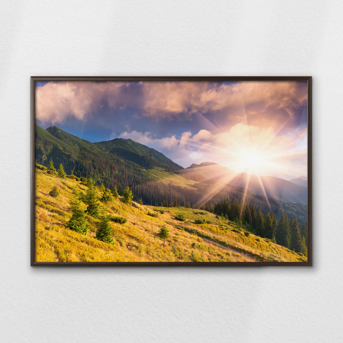 LWN100W070