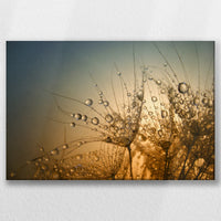 LW-030W020