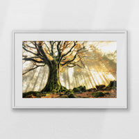 PWP093W062