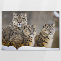 AC-090W060