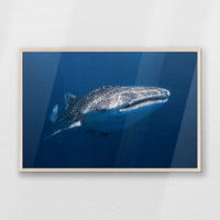 PN-093W062