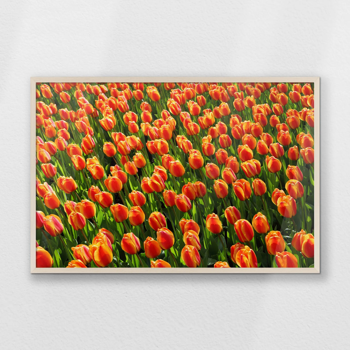 PN-093W062