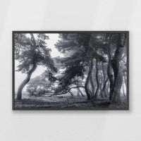 PK-093W062