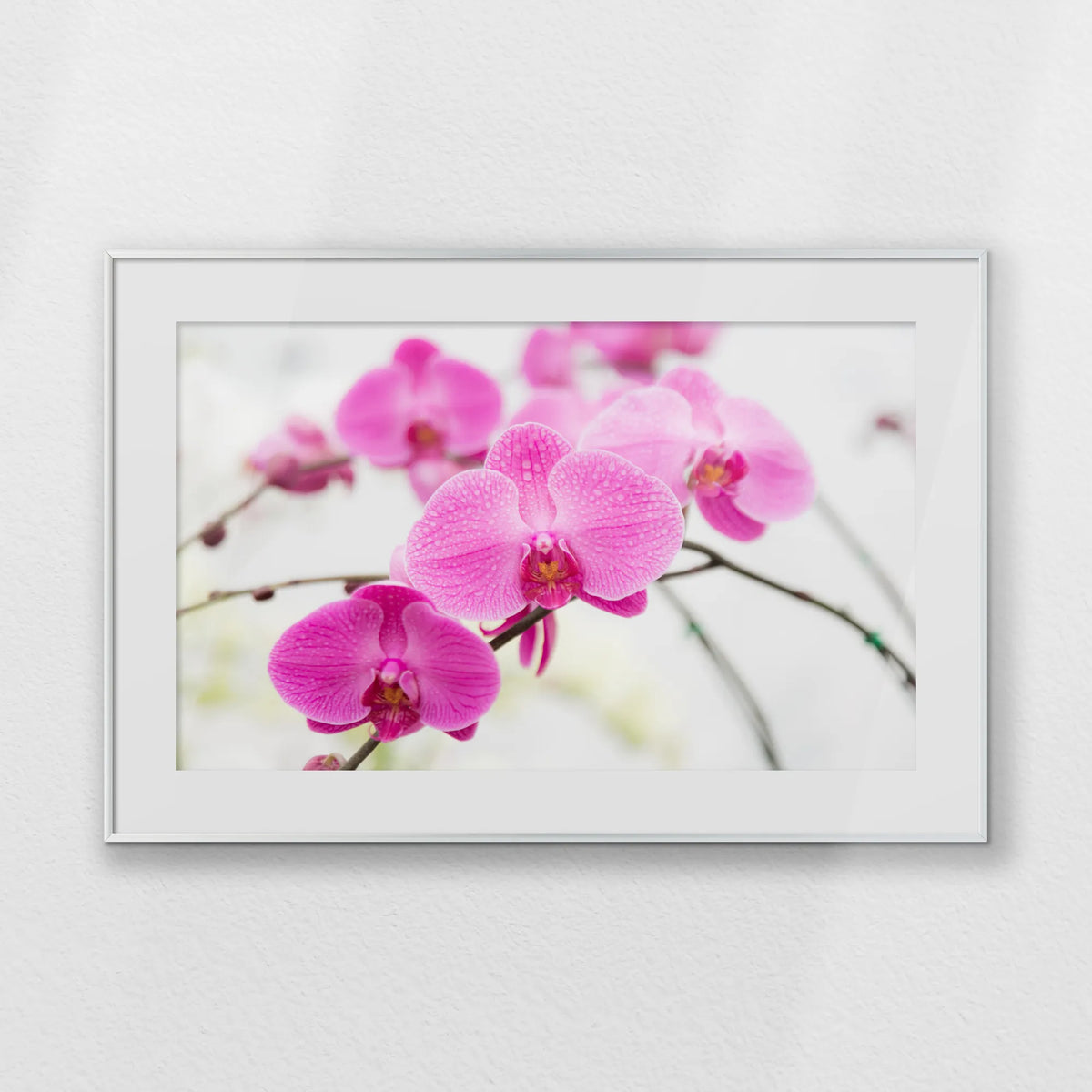 PSP093W062