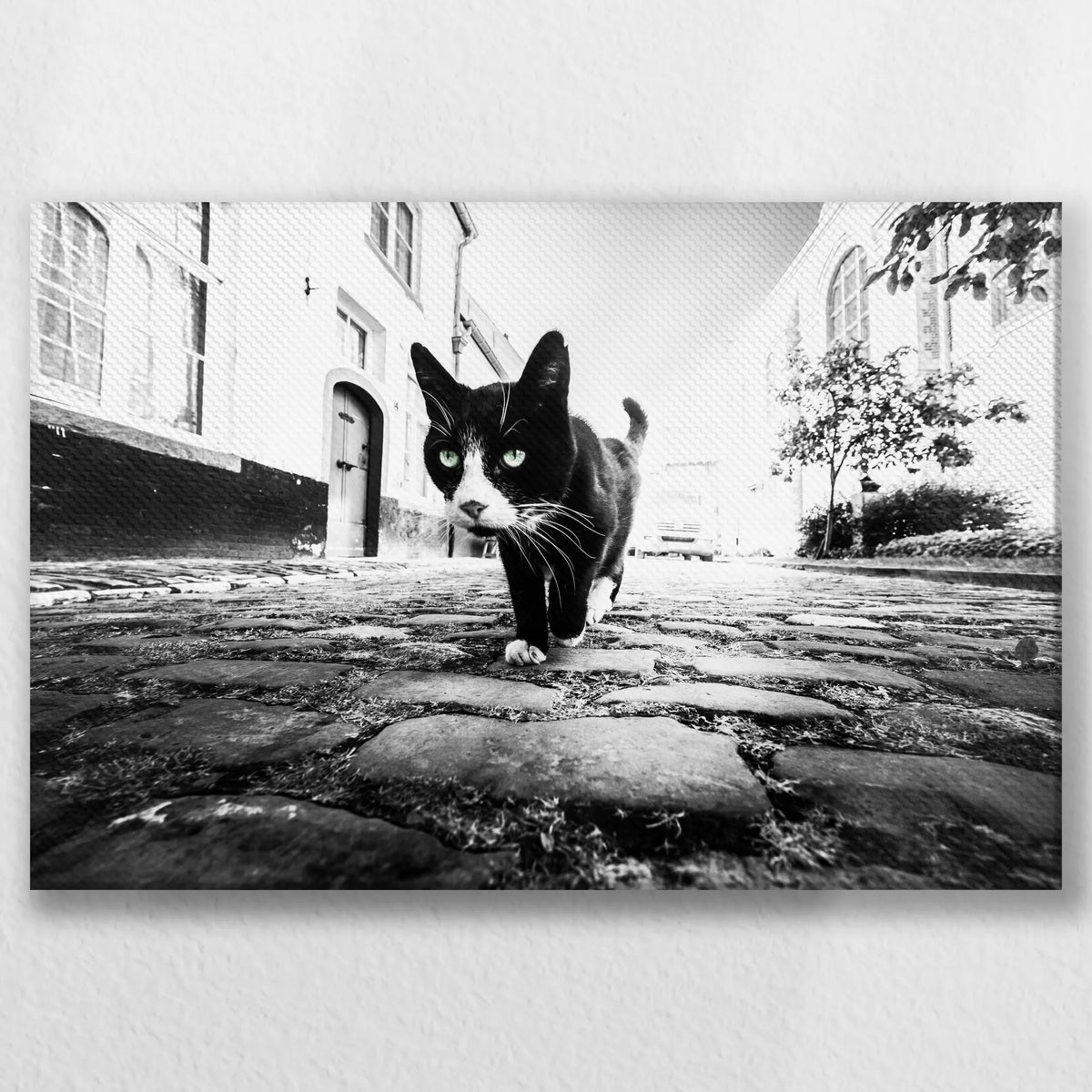 LW-045W030