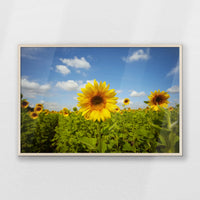 PN-100W070