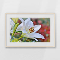 PNP093W062